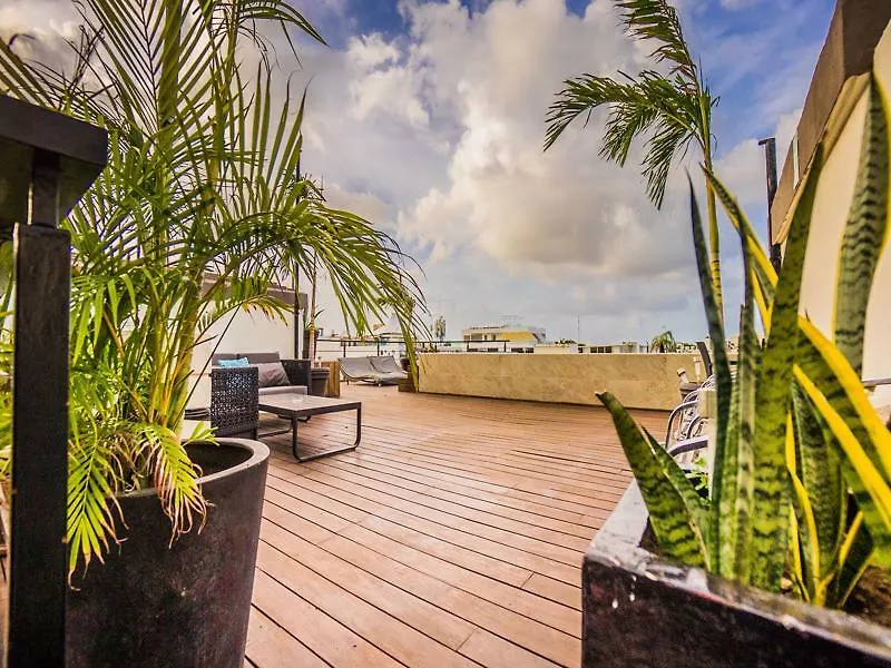 Lotus Midtown Apartments By Bvr Playa del Carmen